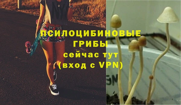 марки nbome Кинешма